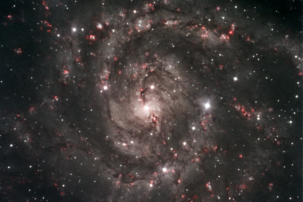 ic342-hidden-galaxy706F625B-1809-7139-ACD7-4ECCA948733A.png